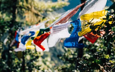 Bay thẳng đặc biệt Việt Nam Bhutan: Paro – Haa Valley